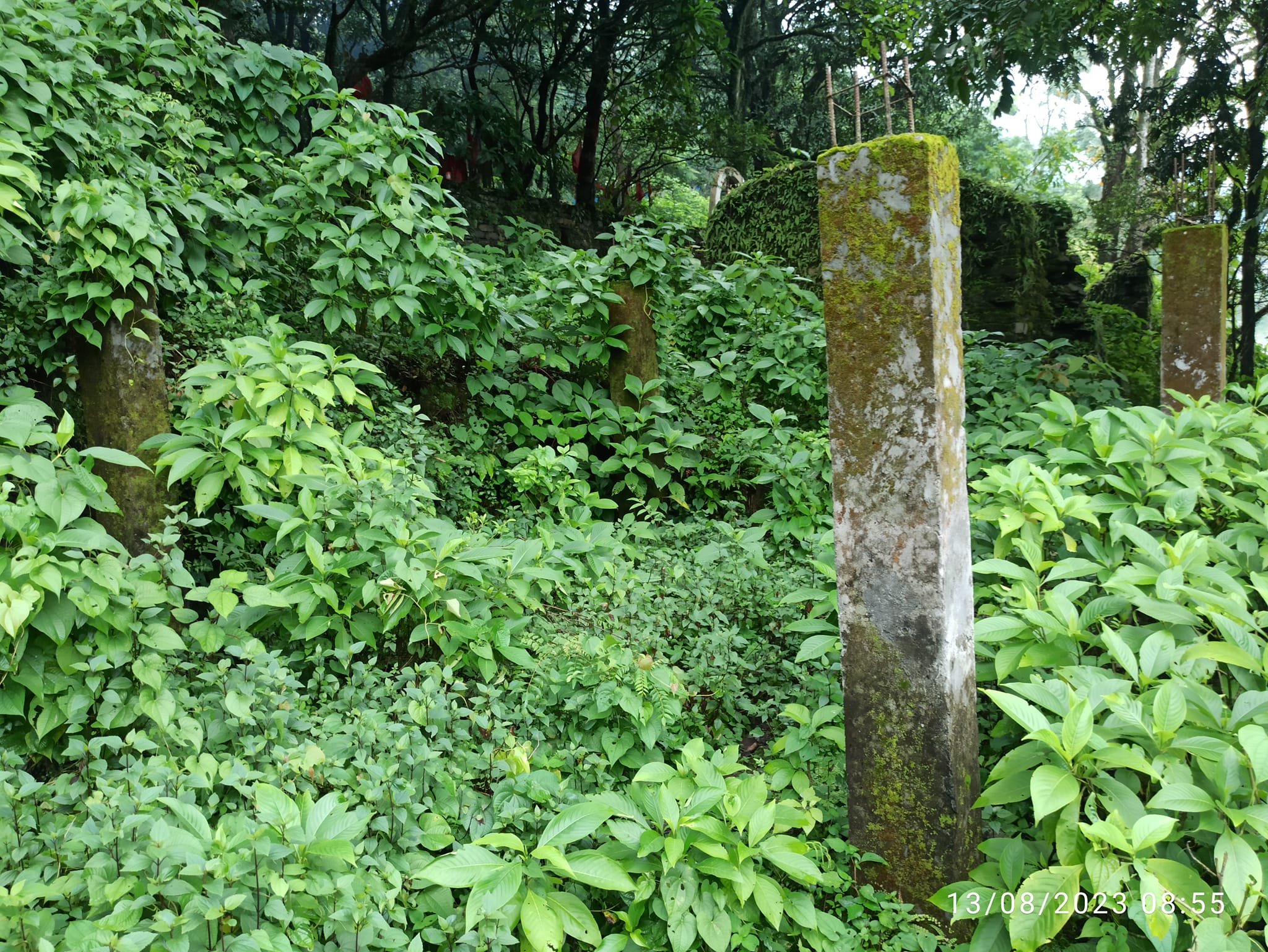 बैतडीको देवझाडी धाम ओझेलमा 